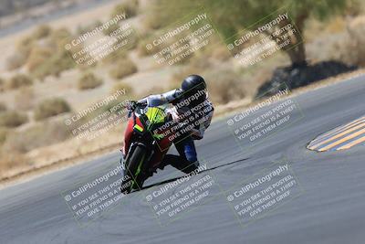 media/May-14-2023-SoCal Trackdays (Sun) [[024eb53b40]]/Turn 5 Tree of Life (1125am)/